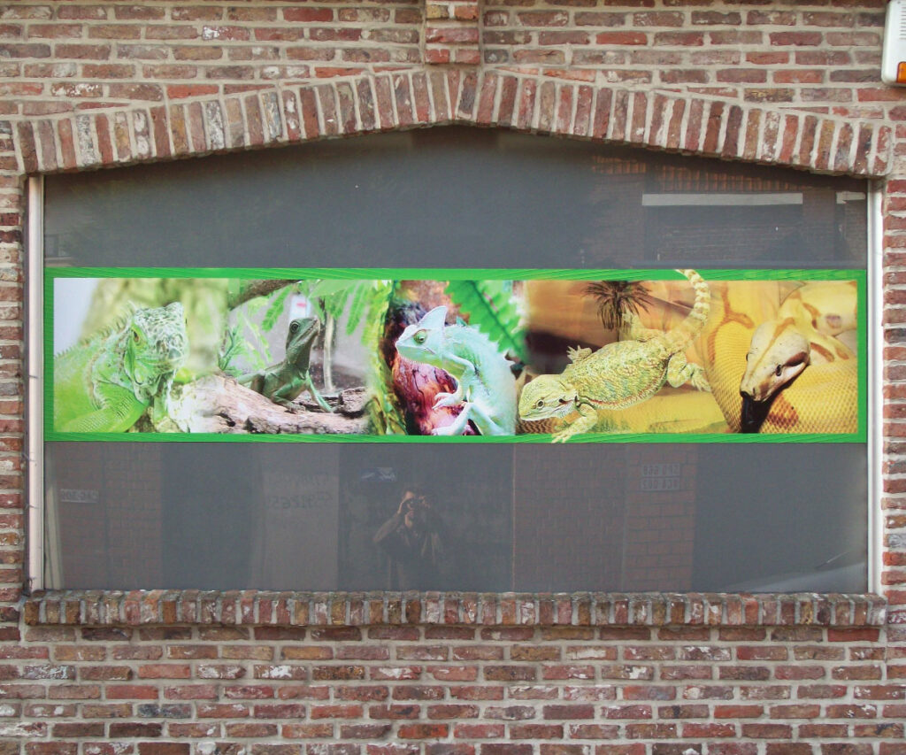 VITROPHANIE-IMPRESSION-ANIMALERIE-MENEN